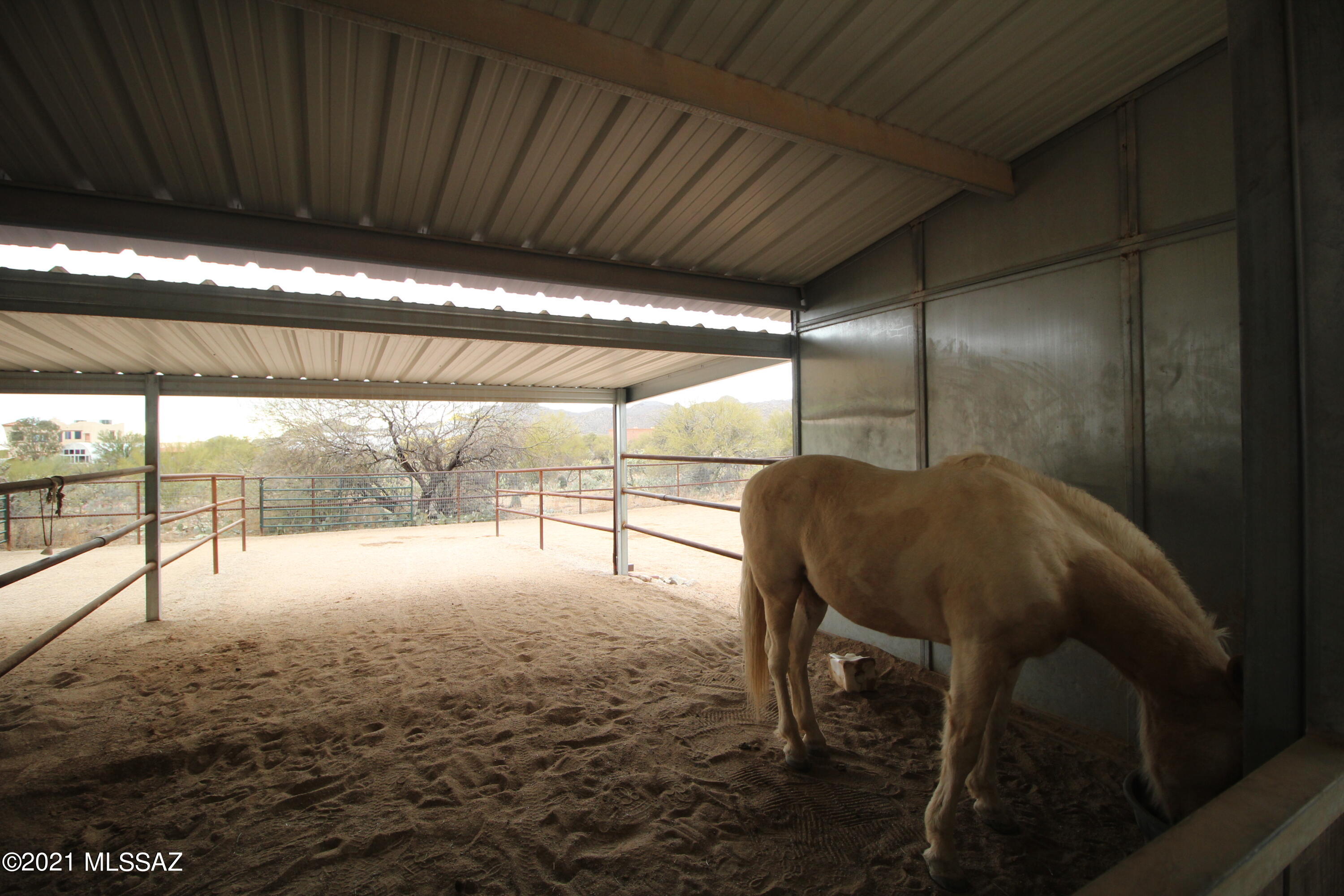 La Cholla Airpark - Residential