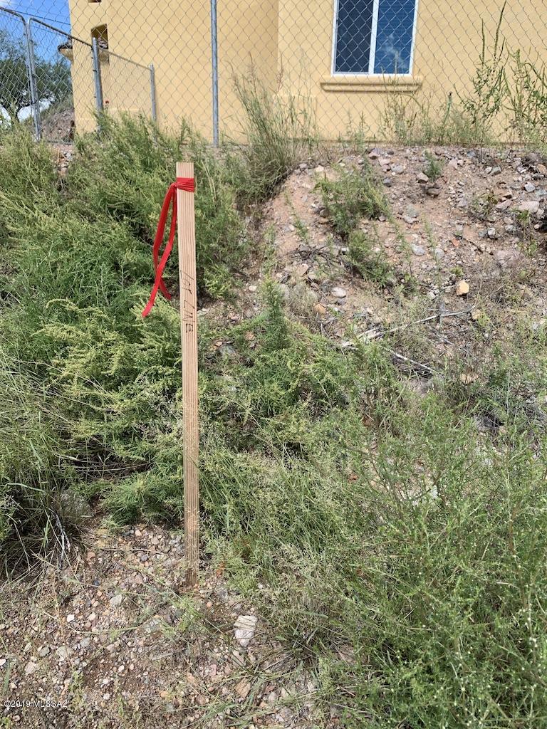 Rio Rico Ranchettes 3 - Land