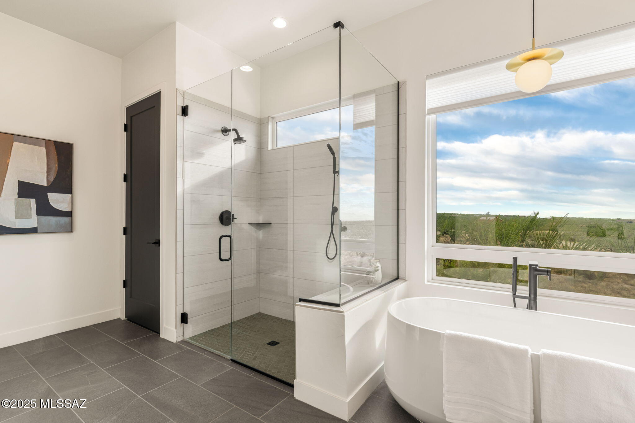 Ocotillo Preserve (1-42) - Residential