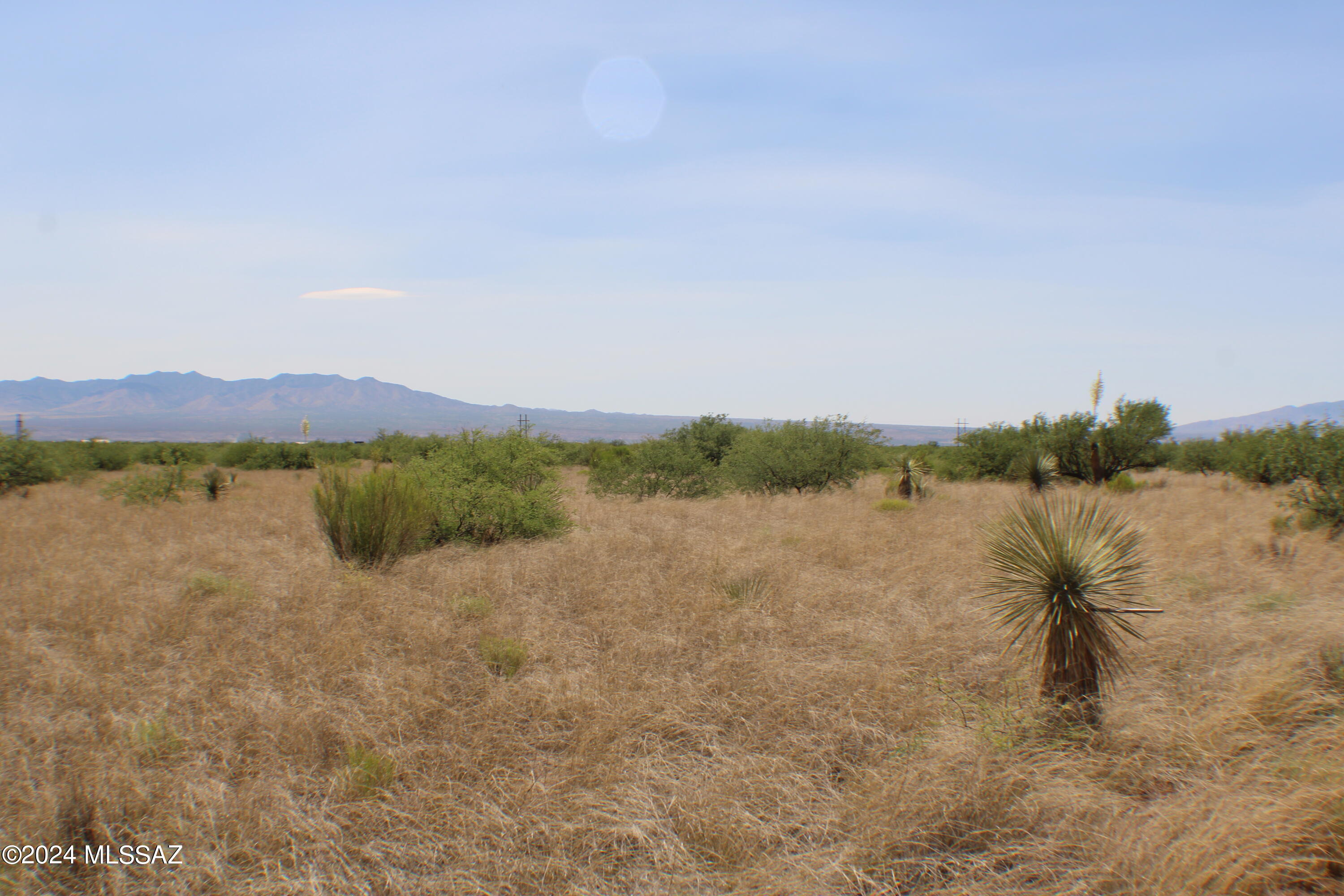 Dragoon Mountain Ranch - Land