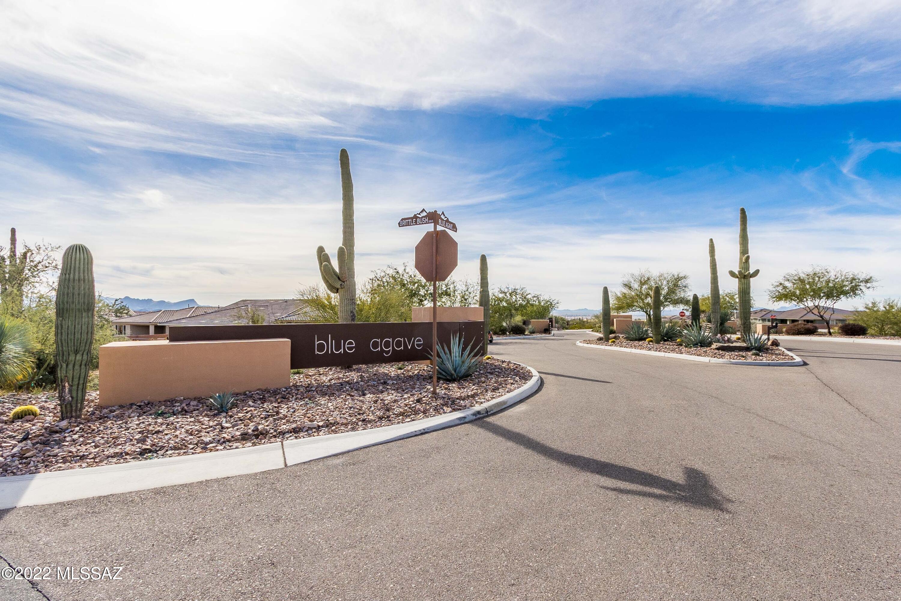 Blue Agave At Dove Mountain - Residential