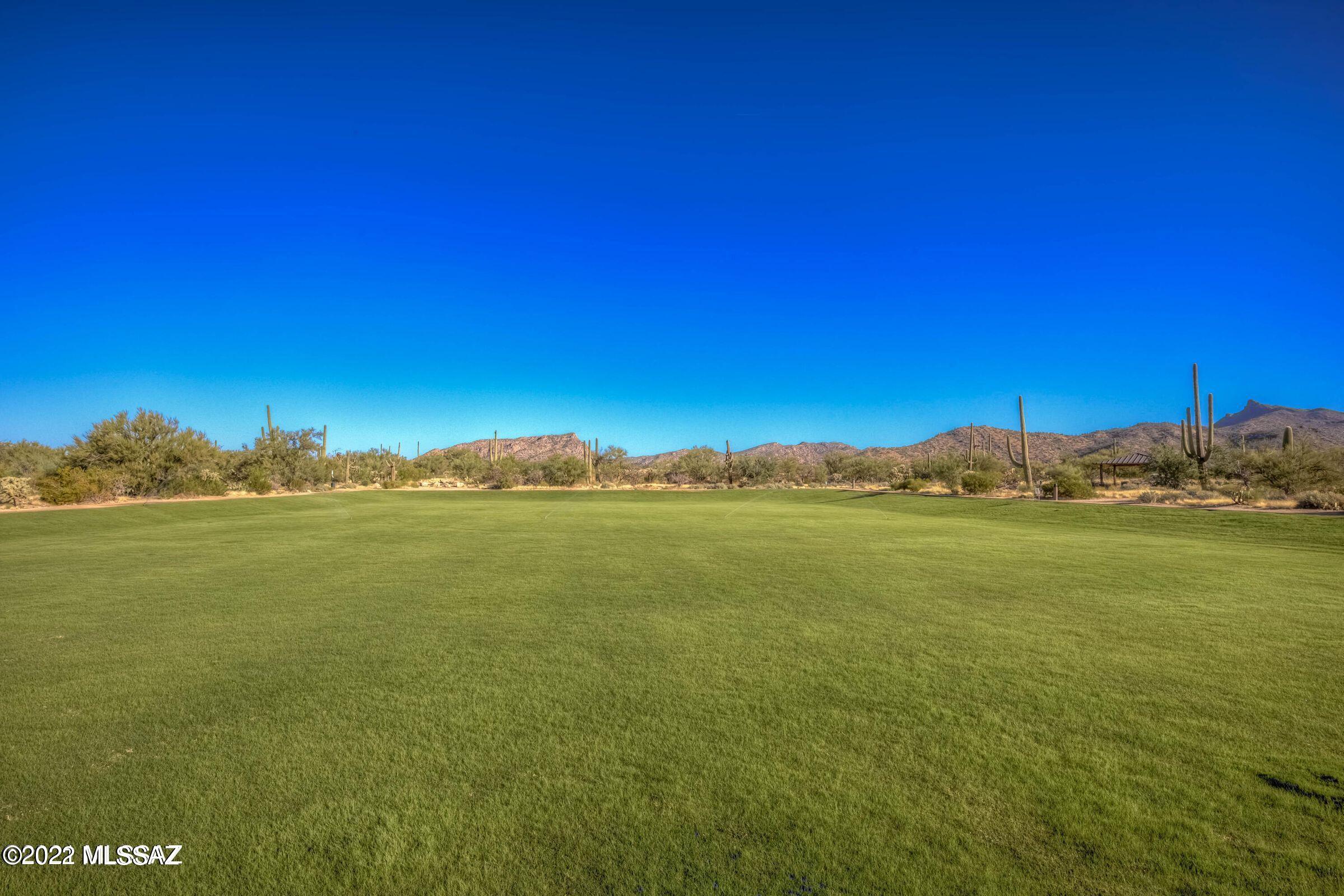Blue Agave At Dove Mountain - Residential