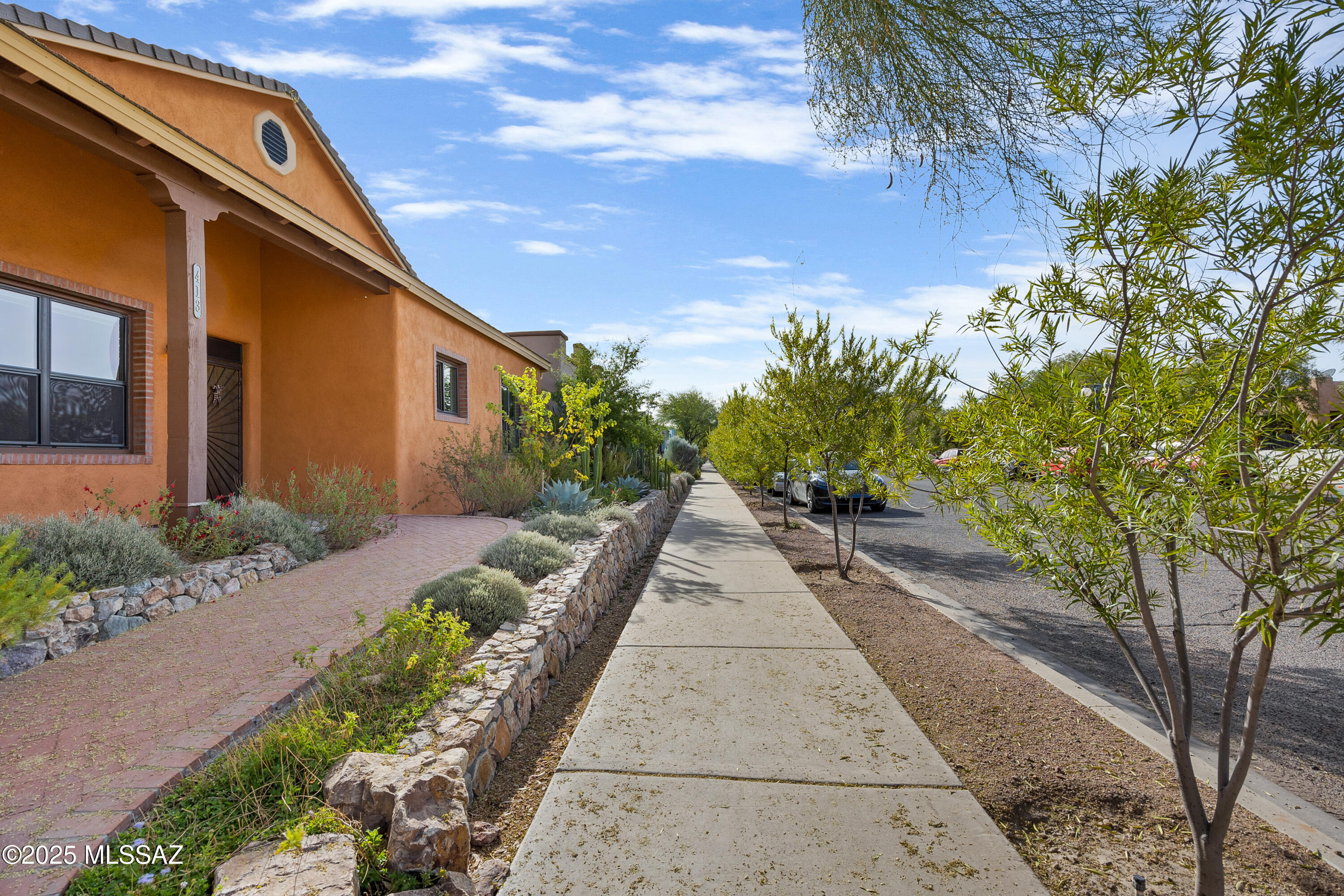 Armory Park Del Sol - Residential