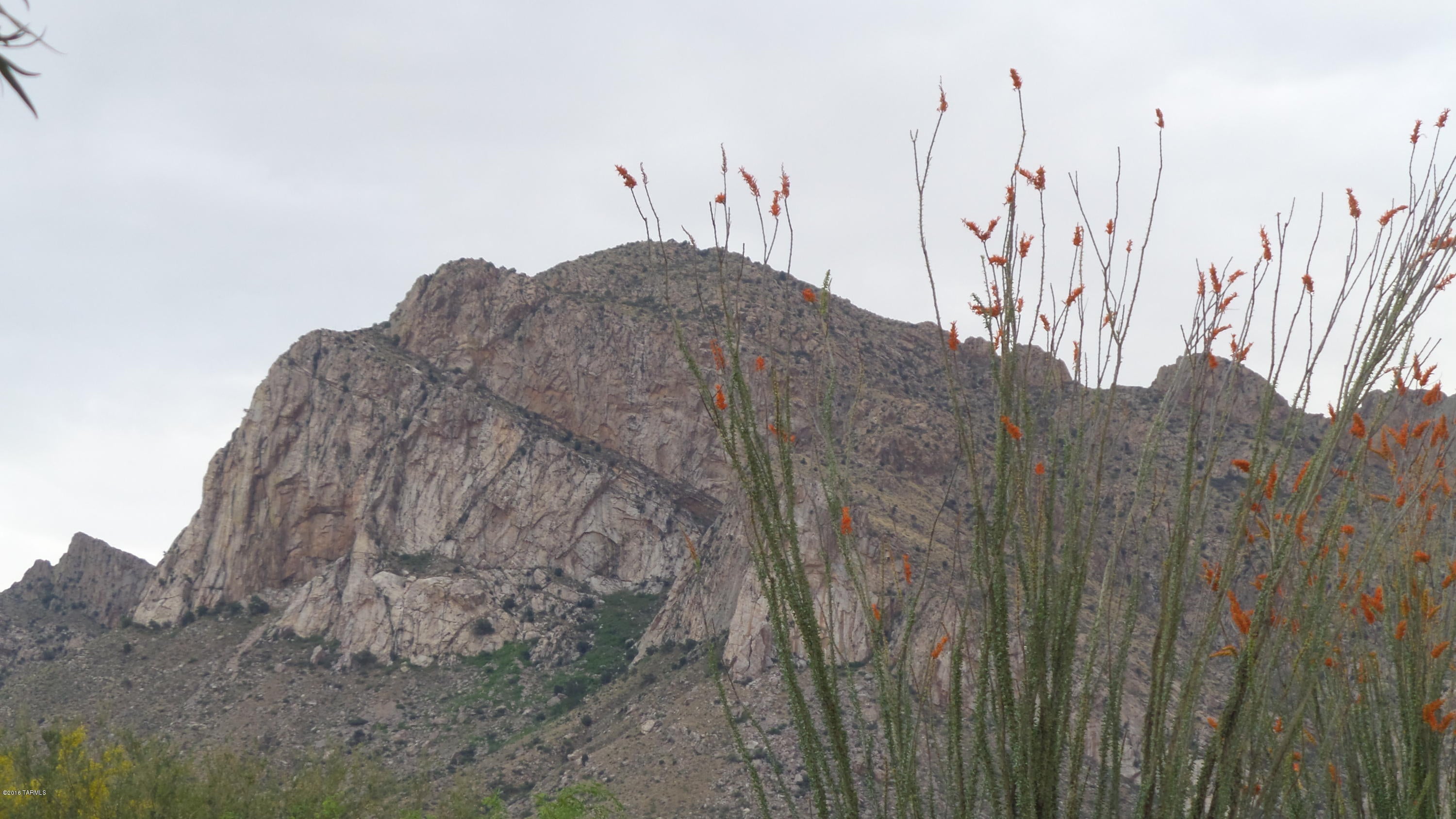 Colony At Oro Valley (The) - Residential Lease