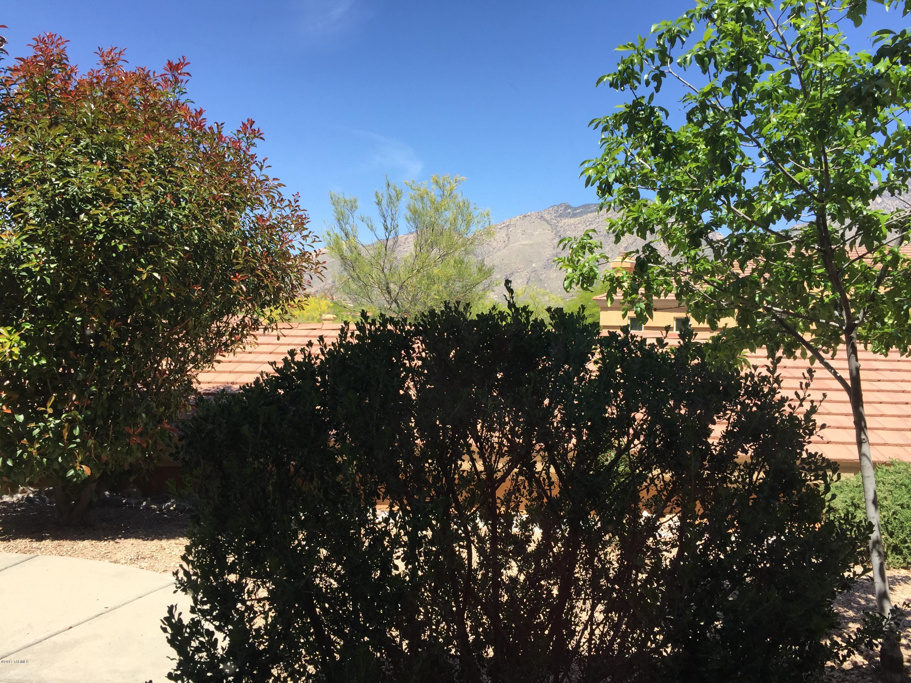 Pinnacle Canyon Condominium - Residential Lease