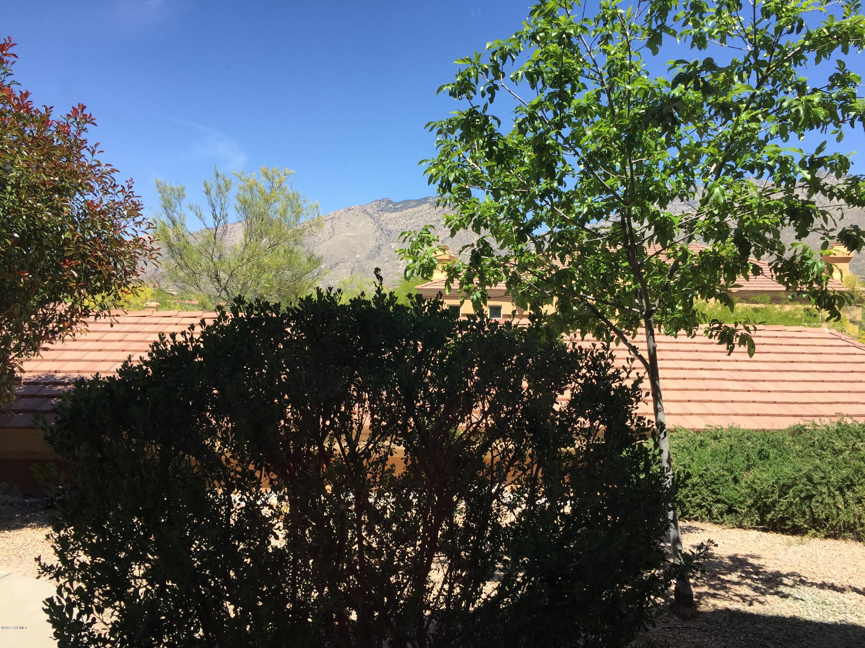 Pinnacle Canyon Condominium - Residential Lease