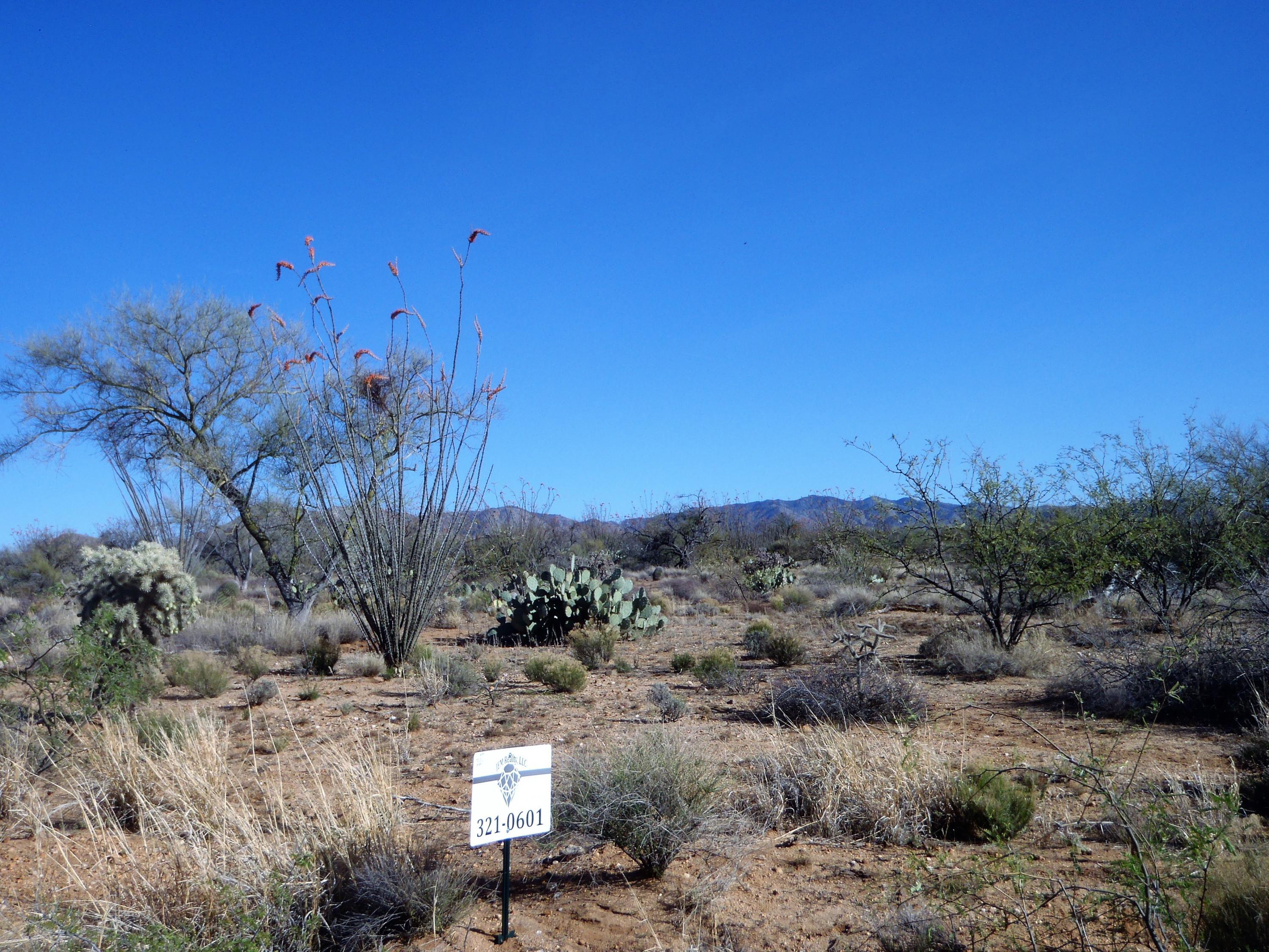 Diamond Bell Ranch - Tucson Unit 7 (1-416) - Land