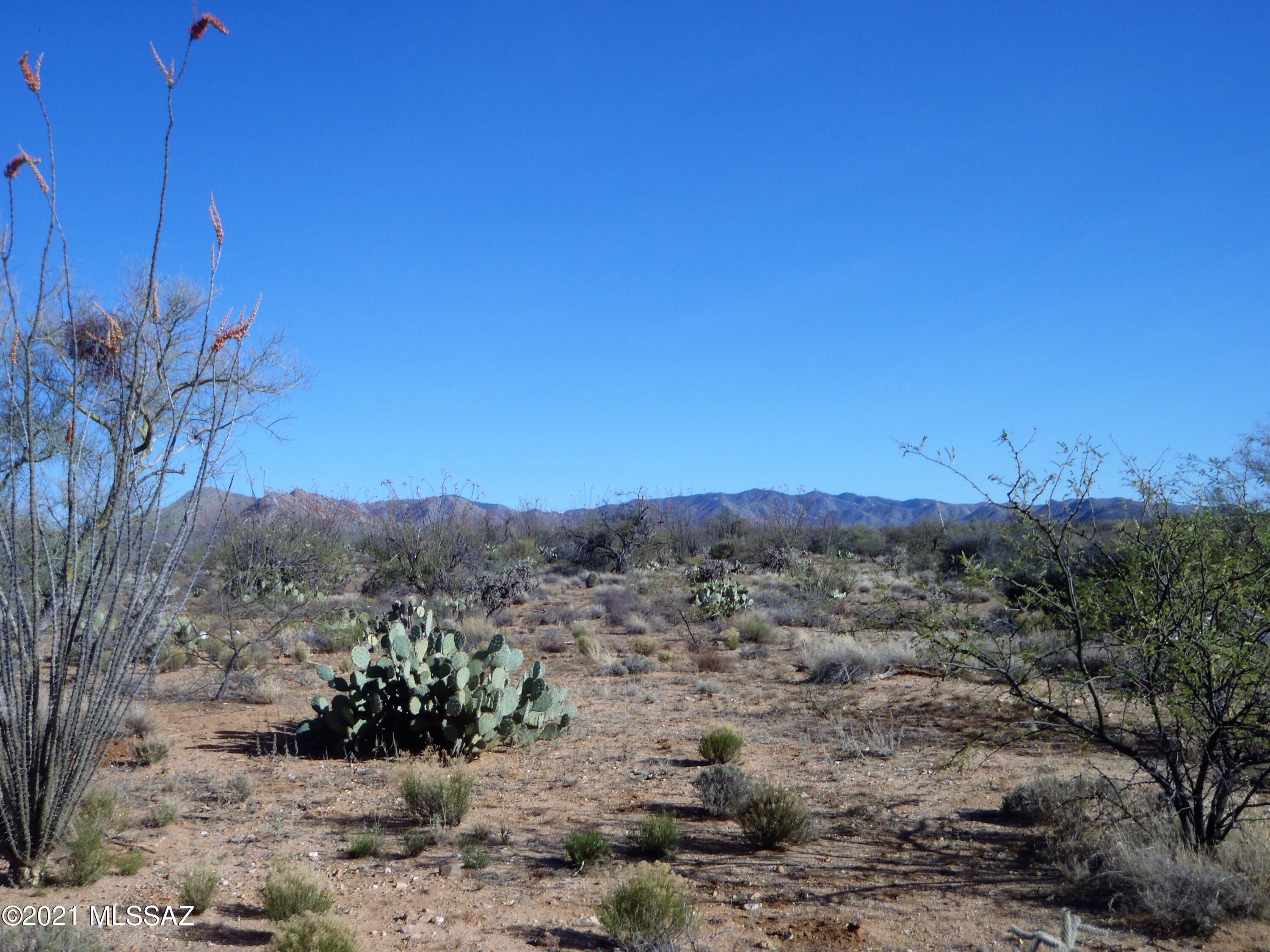 Wonderful building lot in Diamond Bell Ranch.  Fantastic views of the mountain ranges.  Covered in desert flora! Near Water Storage.
