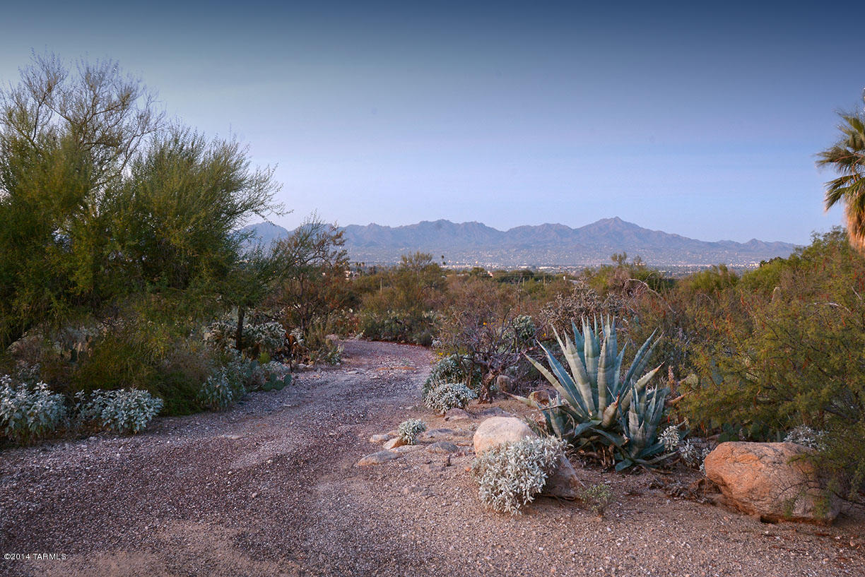 Cobo Catalina Hills (1-51) - Residential