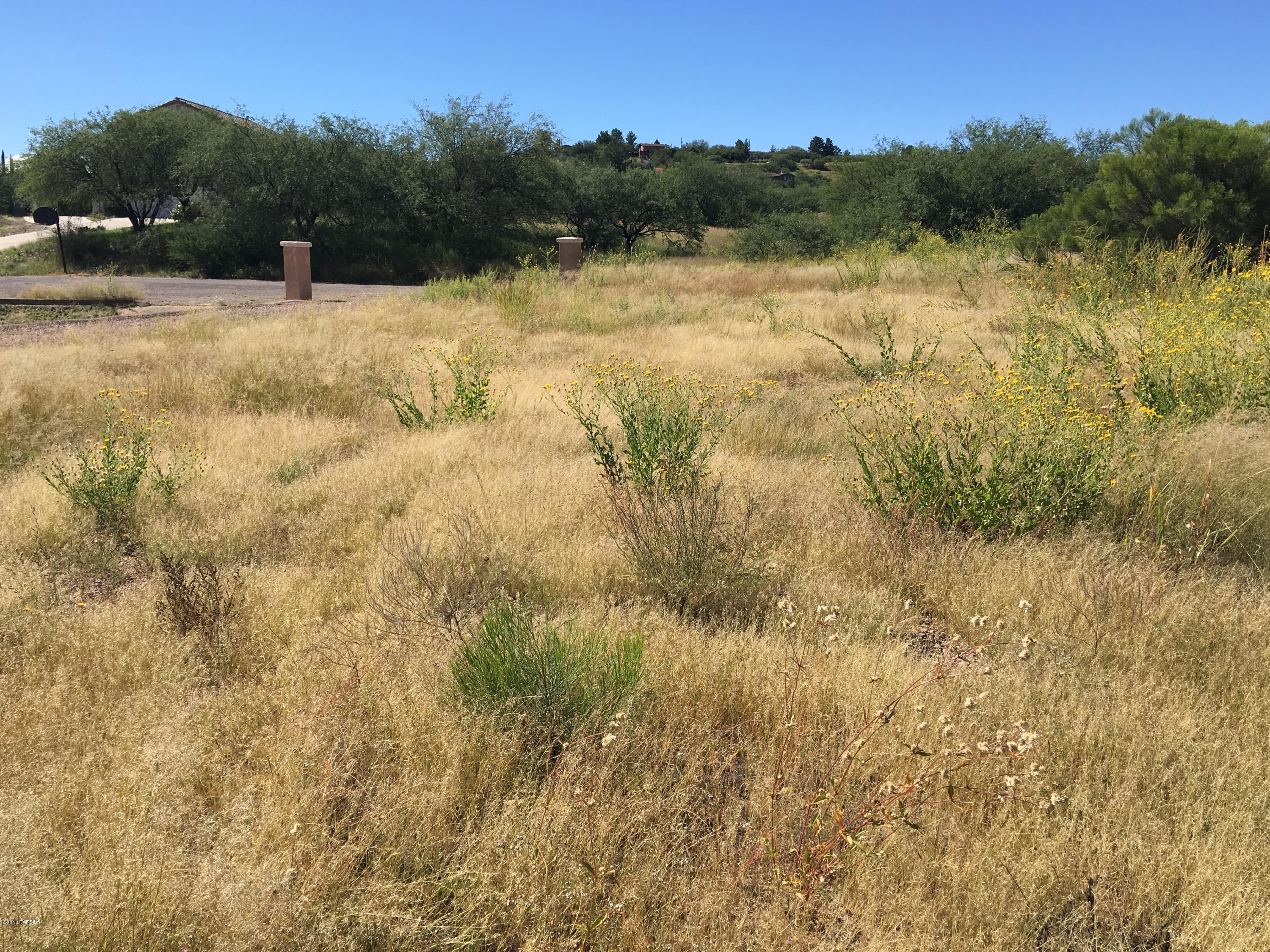 Rio Rico - Land