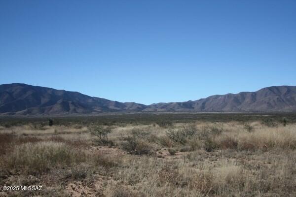 Discover your slice of paradise in Cochise, AZ, where 3.21 acres of pristine vacant land await your vision. Nestled against the breathtaking backdrop of the Dragoon Mountains and the historic Cochise Stronghold, this property offers not just land, but a lifestyle immersed in nature's beauty. With a mild climate and an elevation of approximately 4,300 feet, every day feels like a retreat. Just an hour's drive from Tucson and only 30 minutes to the charming towns of Willcox and Benson, you're perfectly positioned to enjoy both tranquility and convenience. Whether you dream of building a serene getaway, a family estate, or an adventurous outdoor playground, this stunning landscape invites you to create your own oasis. Embrace the opportunity to live where the mountains meet the sky .