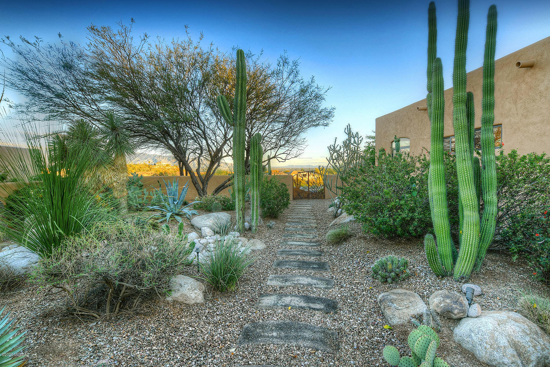Sabino Mountain (1-290) - Residential