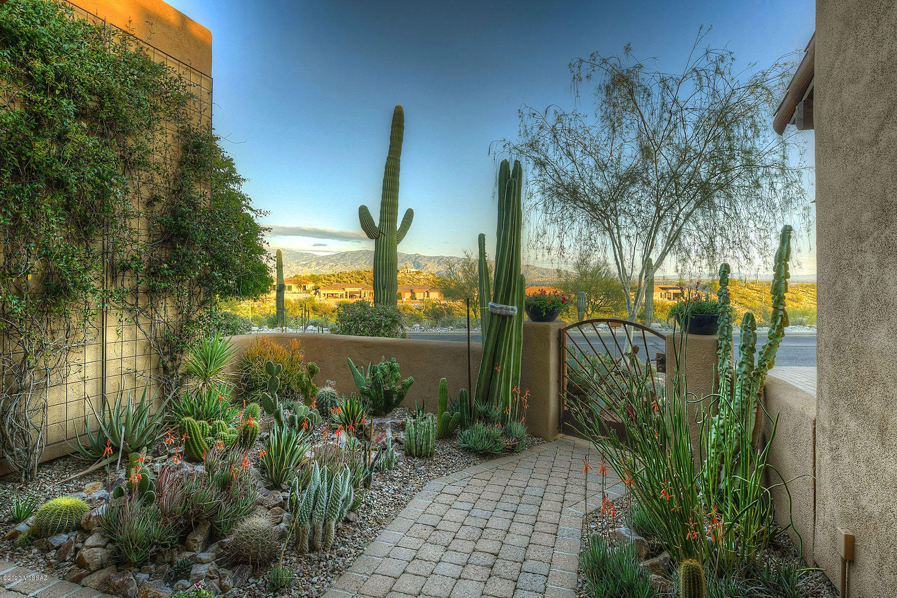 Sabino Mountain (1-290) - Residential