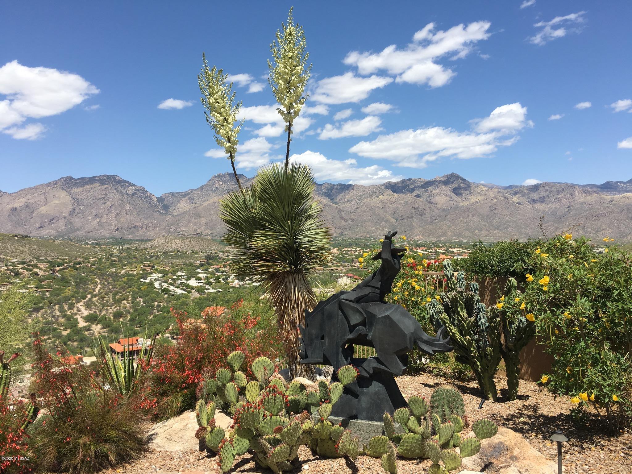 Sabino Mountain (1-290) - Residential