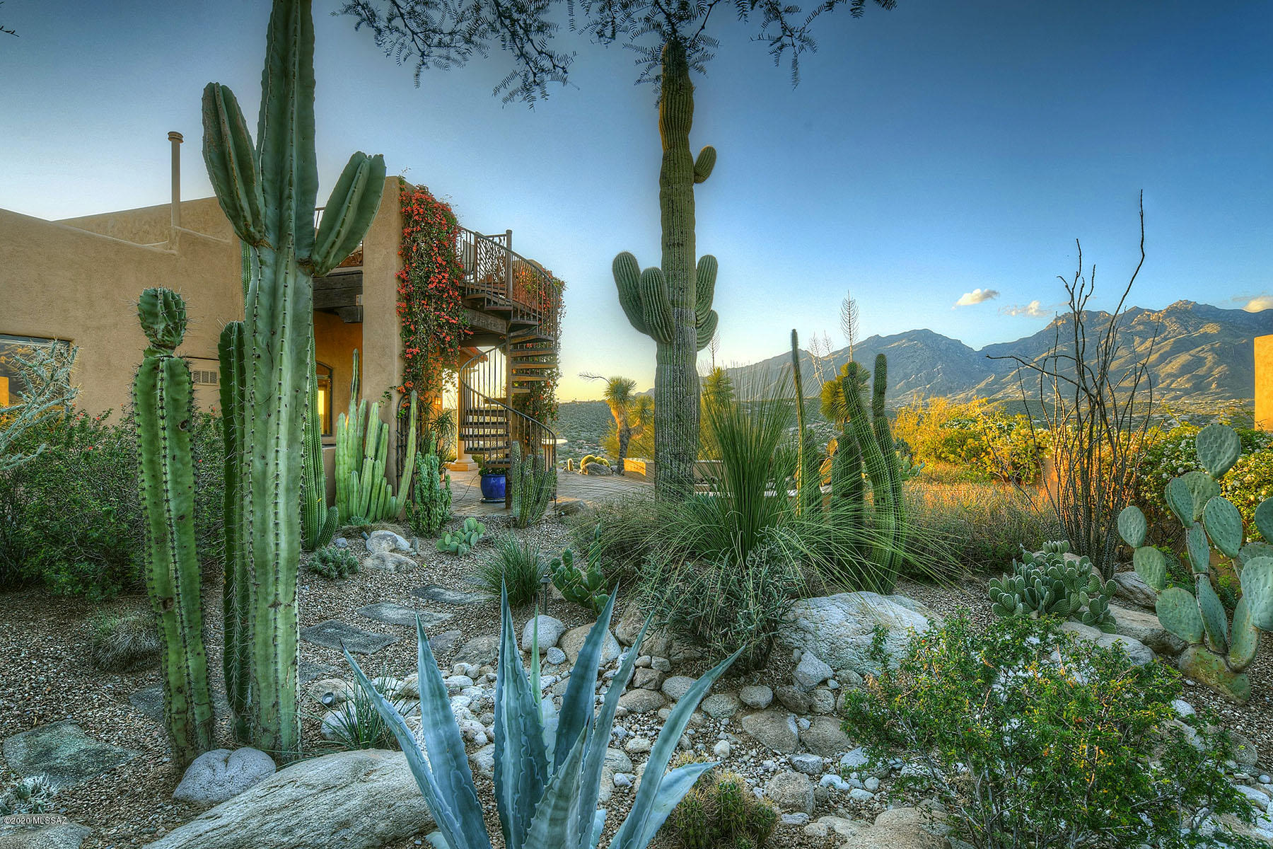 Sabino Mountain (1-290) - Residential