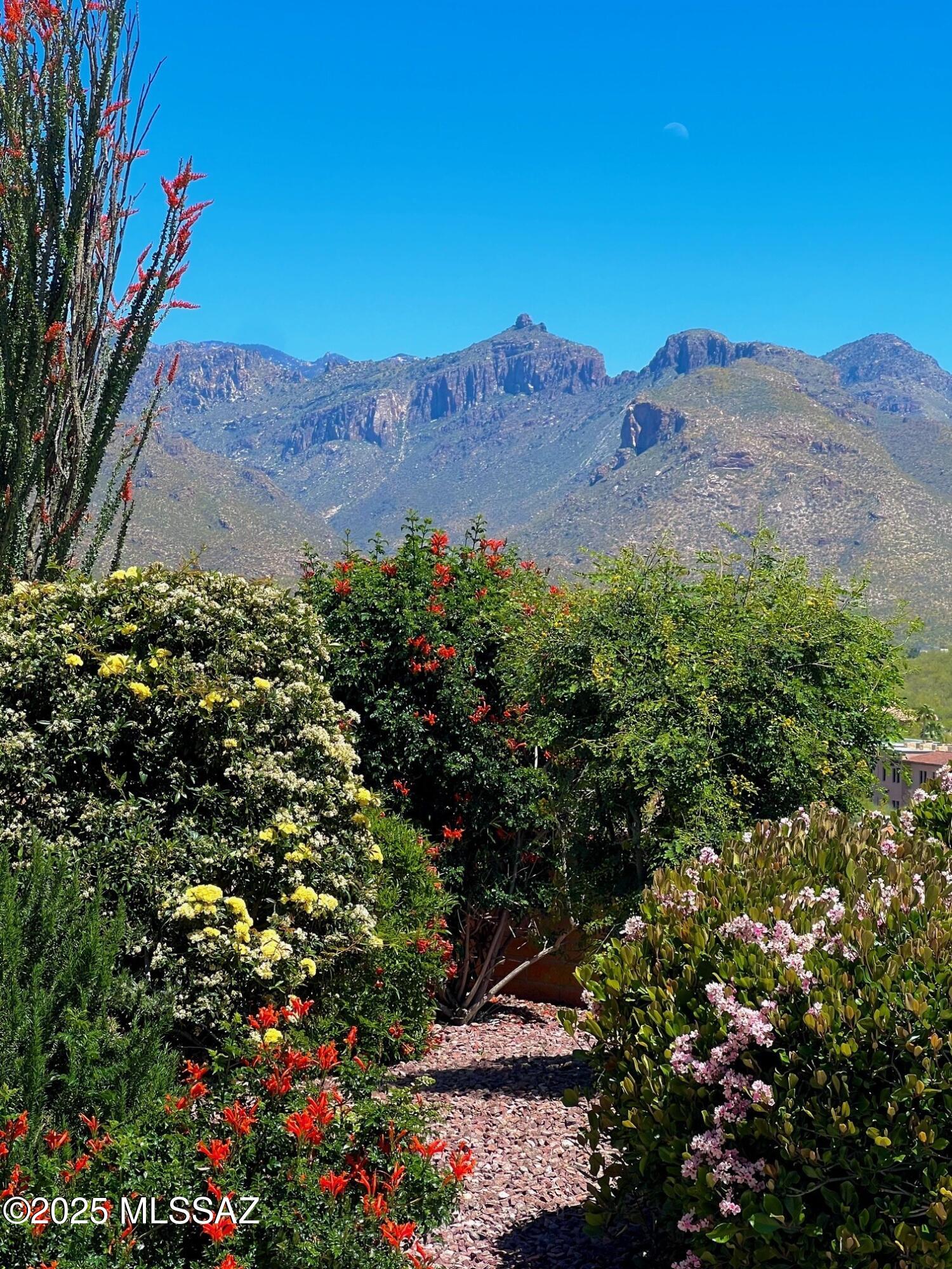 Sunrise Mountain View Estates (54-103) - Residential