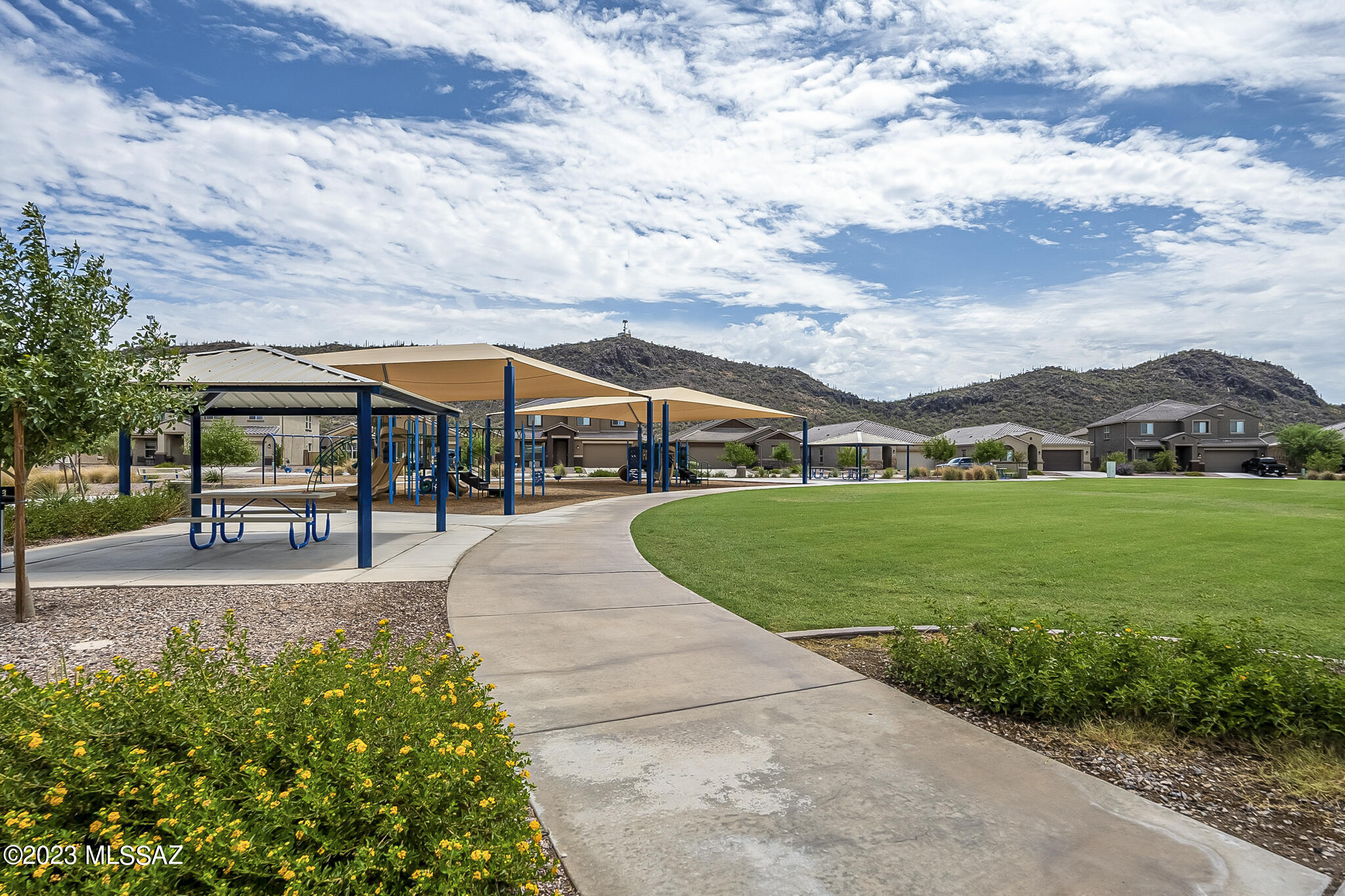 Saguaro Bloom 7A - Residential