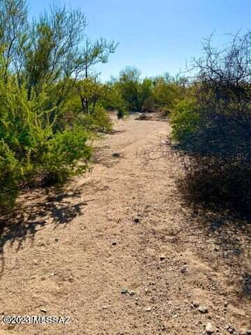 Out Of Pima County - Land