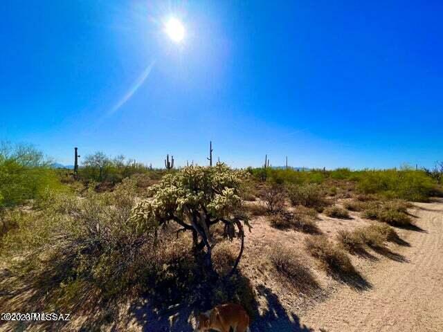 Out Of Pima County - Land