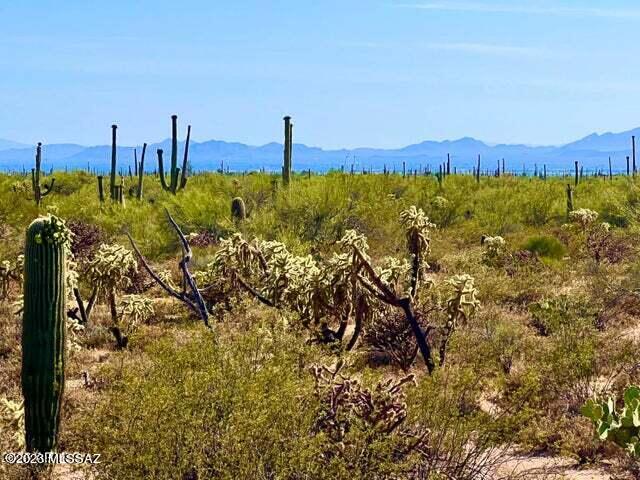 Out Of Pima County - Land