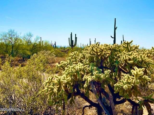 Out Of Pima County - Land