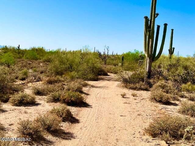 Out Of Pima County - Land