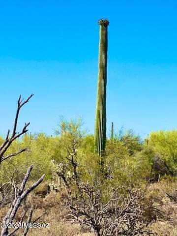 Out Of Pima County - Land