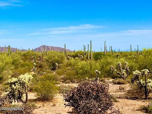 Out Of Pima County - Land