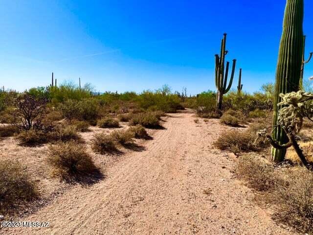 Out Of Pima County - Land