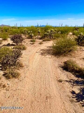 Out Of Pima County - Land
