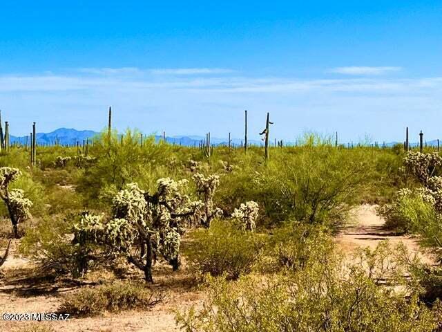 Out Of Pima County - Land