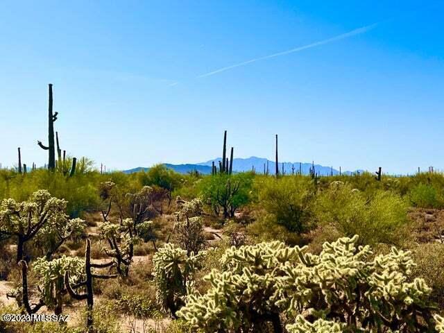 Out Of Pima County - Land