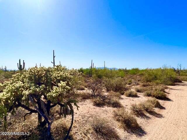 Out Of Pima County - Land