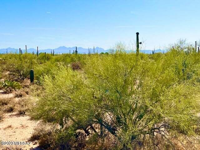 Out Of Pima County - Land