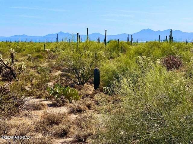 Out Of Pima County - Land