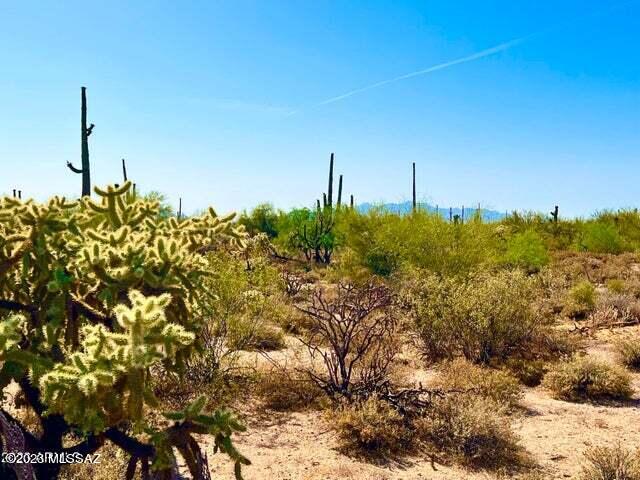 Out Of Pima County - Land