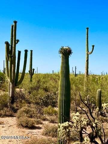 Out Of Pima County - Land