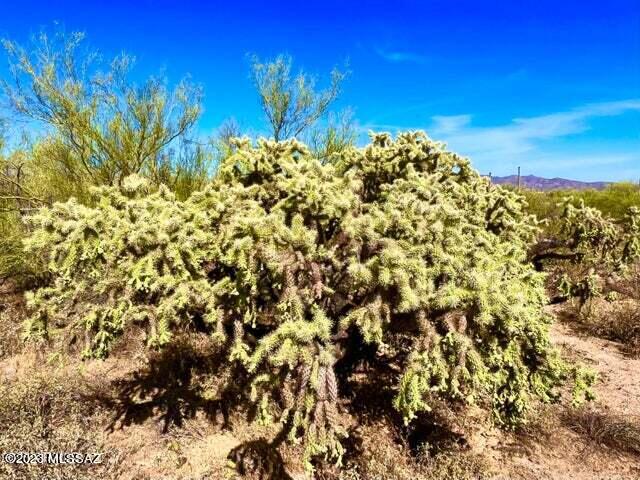 Out Of Pima County - Land