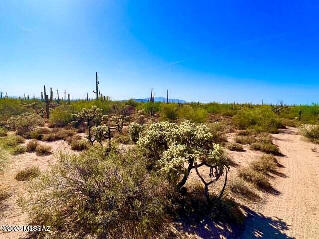Out Of Pima County - Land