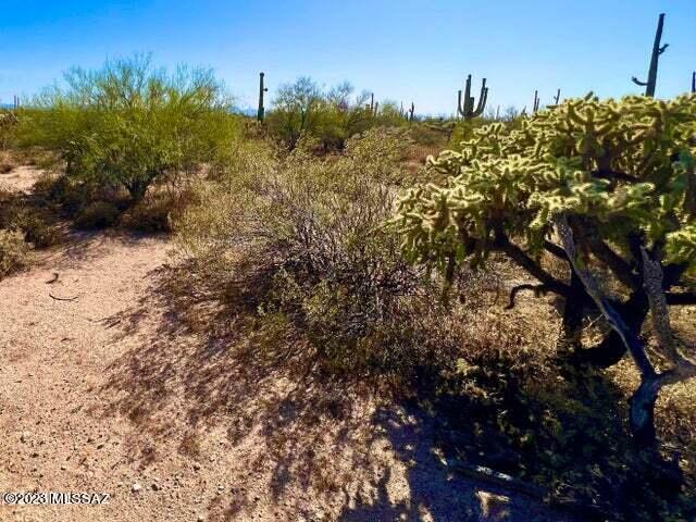 Out Of Pima County - Land
