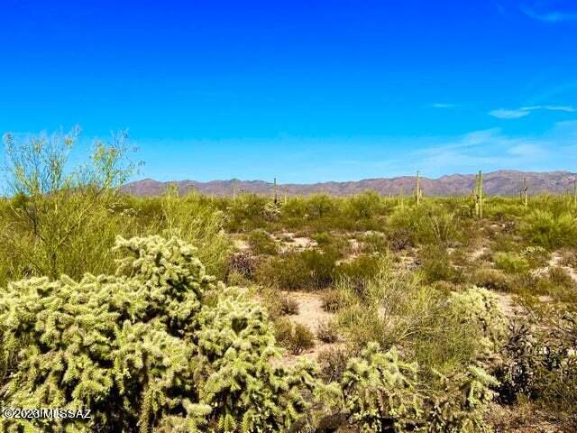 Out Of Pima County - Land