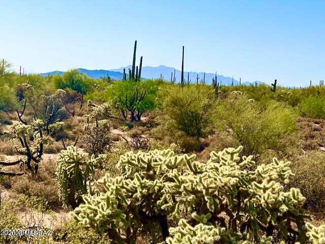 Absolutely gorgeous acreage with thick Palo Verde trees and huge Saguaros. Mountain views, good roads, immaculate neighbors, views,
nature and privacy. Best of all is no HOA! What more could you want from a property. Seller financing available as well as conventional lenders. Contact
agents.