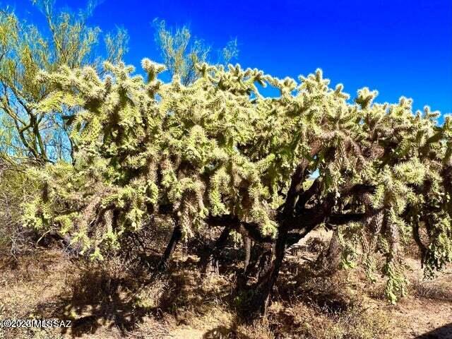 Out Of Pima County - Land