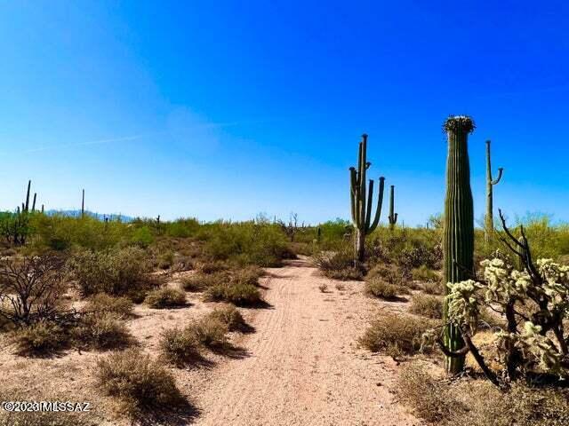 Out Of Pima County - Land