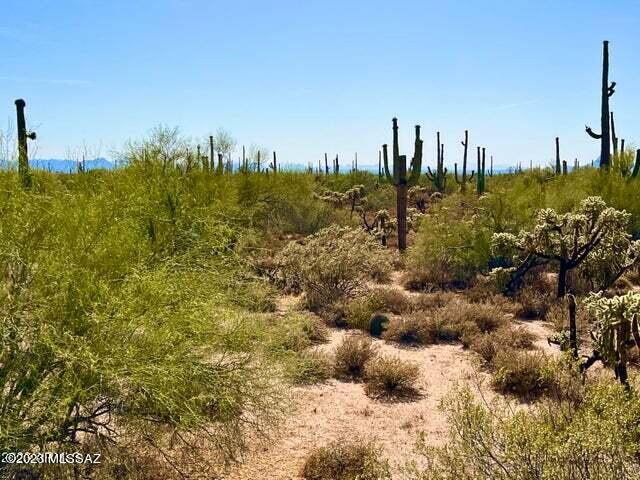 Out Of Pima County - Land