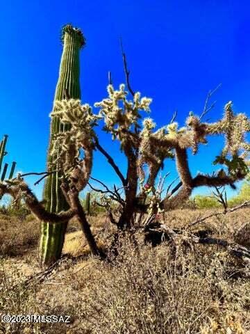 Out Of Pima County - Land