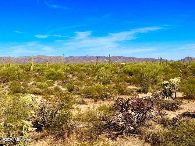 Out Of Pima County - Land
