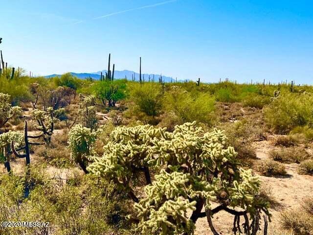 Out Of Pima County - Land