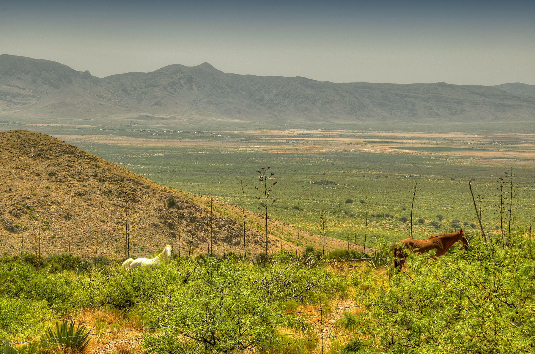 Out Of Pima County - Residential