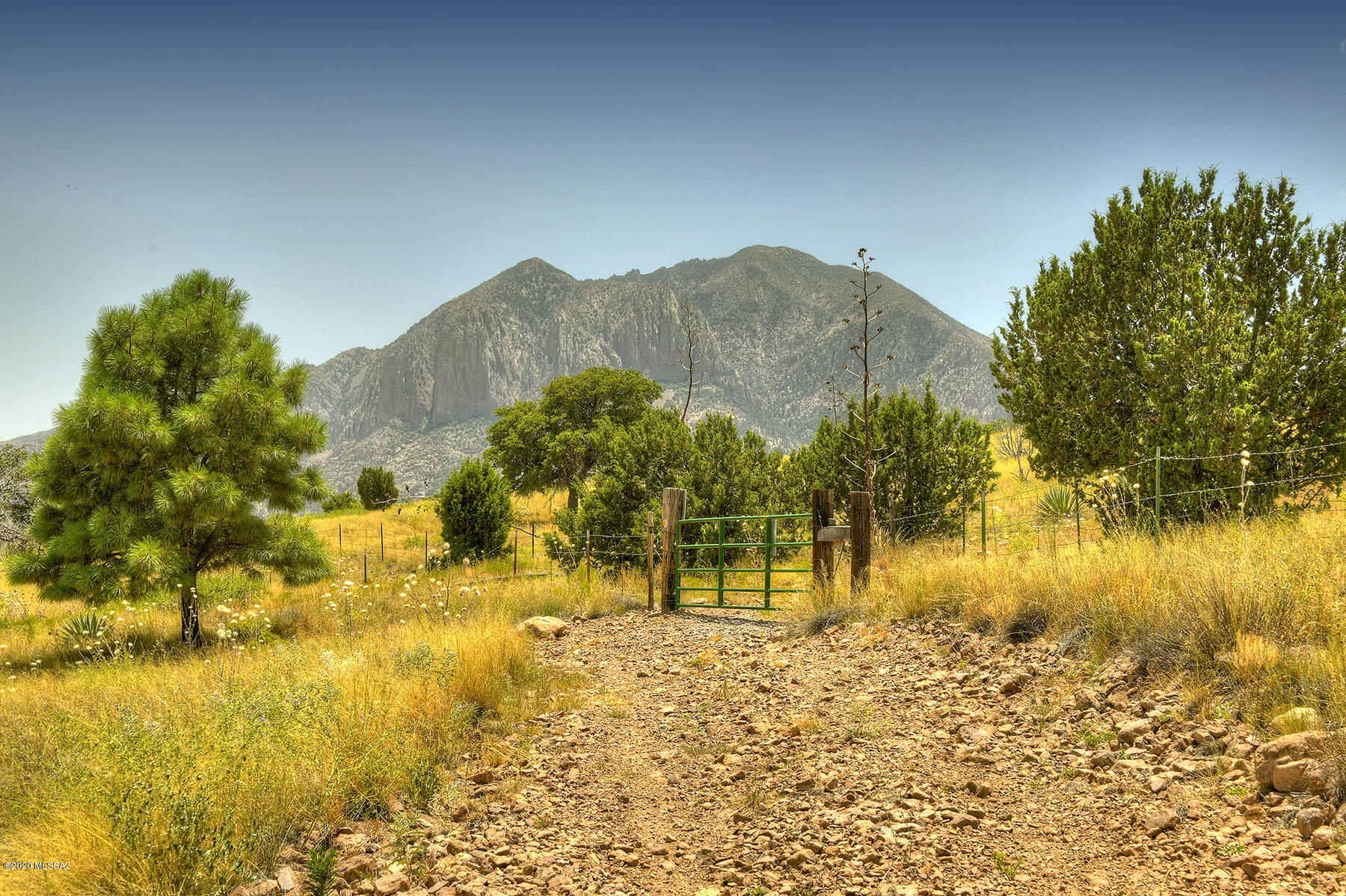 Out Of Pima County - Residential
